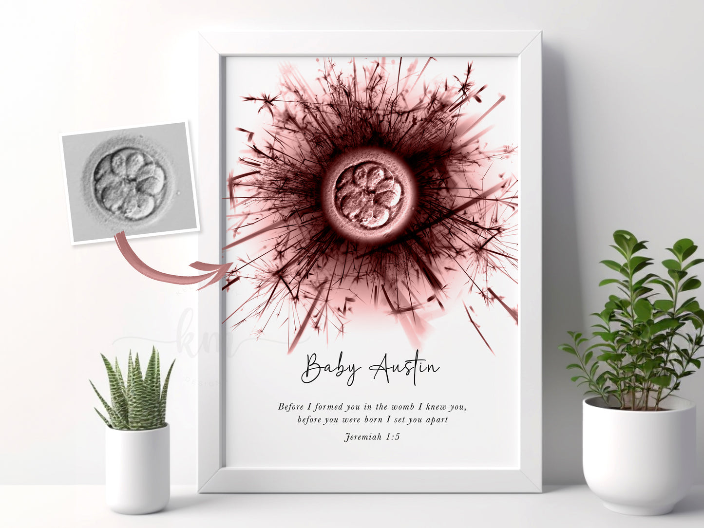 Dandelion Pen & Ink IVF Embryo Art